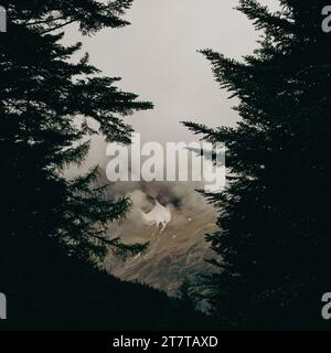 Blick auf die italienischen alpen, umrahmt von Nebel Stockfoto