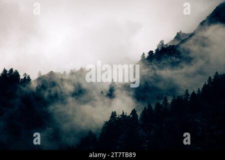 Blick auf die italienischen alpen, umrahmt von Nebel Stockfoto