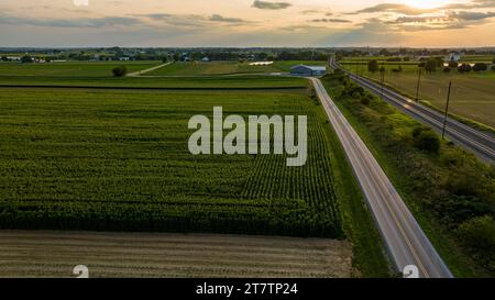 Am späten Nachmittag aus der Vogelperspektive auf Green Corn Fields, an einem sonnigen Sommertag fahren Straßen- und Eisenbahngleise neben ihnen Stockfoto