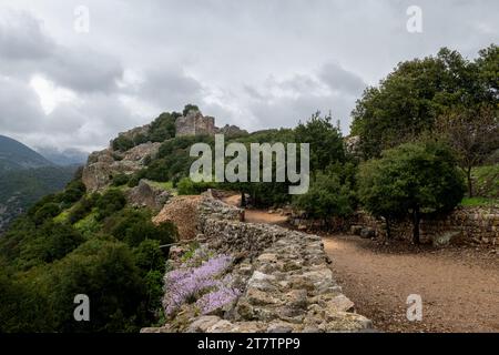 Blick auf einen Abschnitt der alten Festung auf dem Berg Nimrod's Castle auf einem Gipfel in den Ausläufern des Mt. Hermon in Galiläa, nördliches Israel Stockfoto