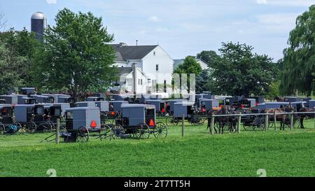 Eine große Gruppe von Amish Horse und Buggys für eine Veranstaltung in Lancaster, Pennsylvania an einem sonnigen Sommertag Stockfoto