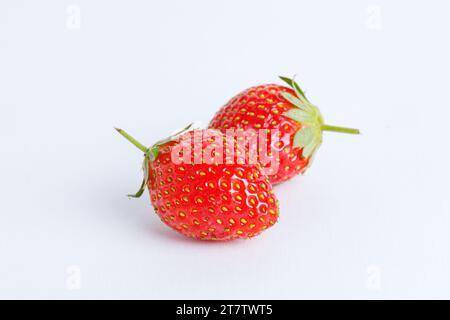 Zwei Erdbeeren hautnah auf weißem Hintergrund Stockfoto