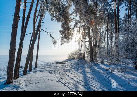 Kurvenreiche Straße im eisigen Winterwald. Kalte Winterlandschaft Stockfoto