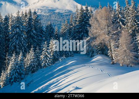 Malerischer Pfad in der winterlichen Bergwelt. Wilde Naturlandschaft in den Bergen Stockfoto