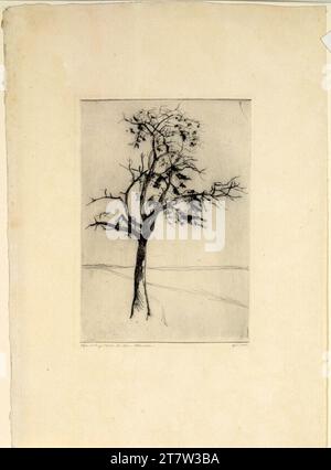 Carl Anton Reichel Baumstudie (op. 181). Caltnadel 1916 , 1916 Stockfoto