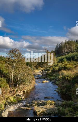 Der Dargle River fließt durch den Herbstwald und geht hinunter zum Powerscourt Wasserfall. Wandern in den Wicklow Mountains, Irland Stockfoto