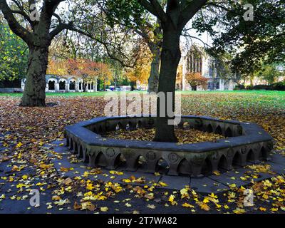 Deans Park im Herbst mit Minster Library hinter City of York Yorkshire England Stockfoto