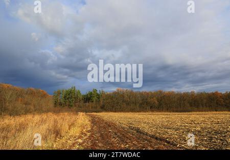 Landschaft mit dramatischen Wolken über einem landwirtschaftlichen Feld im Herbst Stockfoto