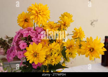 Heliopsis helianthoides ist eine blühende Pflanzenart aus der Familie der Asteraceae Stockfoto