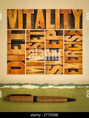 Diät, Schlaf, Bewegung und Mindset - Vitalitätskonzept - Wortabstrakt in Vintage-Buchdruckblöcken auf Kunstdruckpapier Stockfoto