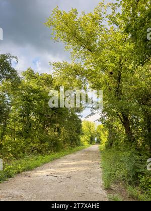 Katy Trail in der Nähe von Tebbetts, Missouri, in herbstlicher Landschaft Stockfoto