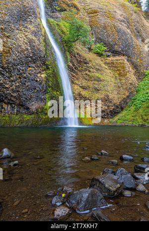 Horsetail Falls tauchen in Pool, Cascade Locks, Columbia River Gorge National Scenic, Region, Oregon, USA Stockfoto