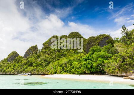 Ein Blick auf die von Vegetation bedeckten Inselchen aus dem natürlichen geschützten Hafen in Wayag Bay, Raja Ampat, Indonesien, Südostasien, Asien Stockfoto