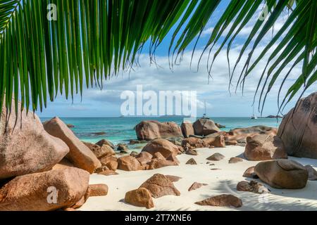 Palmen und Granitfelsen in Anse Lazio, malerischer Strand auf Praslin Island, Seychellen Stockfoto