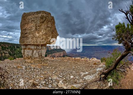 Sturm nähert sich Shoshone Point am Südrand, Grand Canyon National Park, Arizona, Vereinigte Staaten von Amerika, Nordamerika Stockfoto