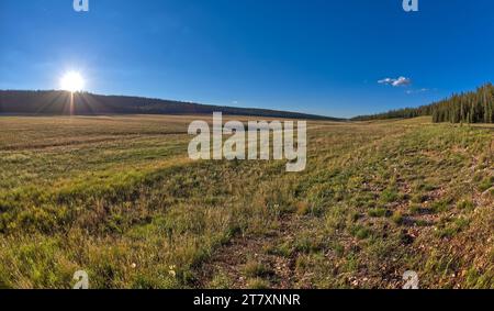 Pleasant Valley nahe Sonnenuntergang im Kaibab National Forest nördlich des Grand Canyon North Rim, Arizona, Vereinigte Staaten von Amerika, Nordamerika Stockfoto