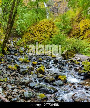 Hungvation Creek Falls und Cascades am Hungvation Creek, Hungvation Creek State Park, Cascade Locks, Oregon, USA Stockfoto