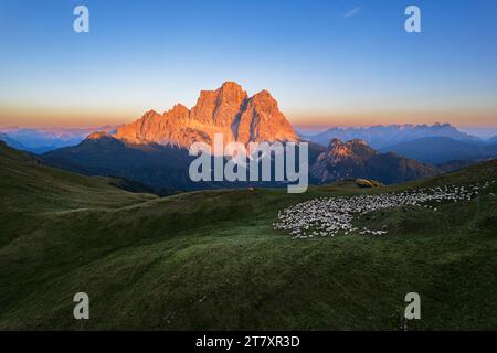 Aus der Vogelperspektive auf die Conca di Mondeval mit einer Schafherde, die weidet, und das Massiv des Pelmo Berges, beleuchtet durch den Sonnenuntergang, Giau Pass, Belluno Dolomiten Stockfoto