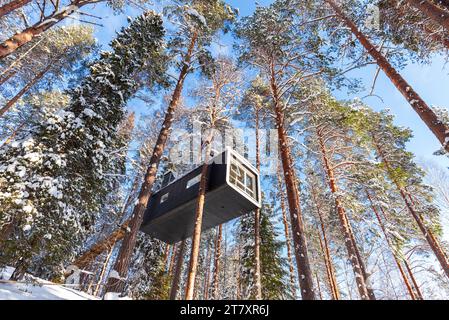 Moderne Unterkunft in einem schneebedeckten Wald mit hohen Bäumen, die mit Schnee bedeckt sind, in Schwedisch Lappland, Tree Hotel, Harads, Lappland, Schweden Stockfoto