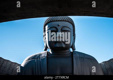 Nahaufnahme des Oberkörpers und des Kopfes einer riesigen Buddha-Statue gegenüber einem blauen Himmel, Hügel des Buddha, Sapporo, Hokkaido, Japan, Asien Stockfoto