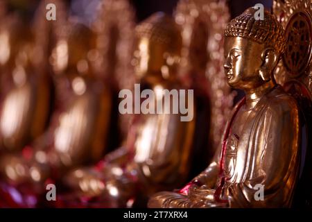 Holzstatue von Siddhartha Gautama (Buddha), Van Hanh Zen Buddhistisches Kloster, Dalat, Vietnam, Indochina, Südostasien, Asien Stockfoto