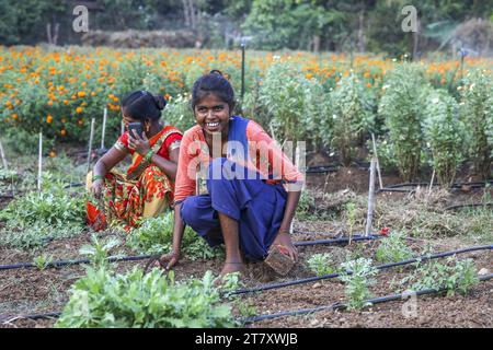 Gärtner arbeiten in einem der Gärten von Goverdan Ecovillage, Maharashtra, Indien, Asien Stockfoto