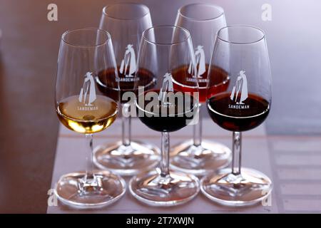 Weinprobe, Sandeman Weinkeller im Quinta do Seixo Museum, Douro, Portugal, Europa Stockfoto