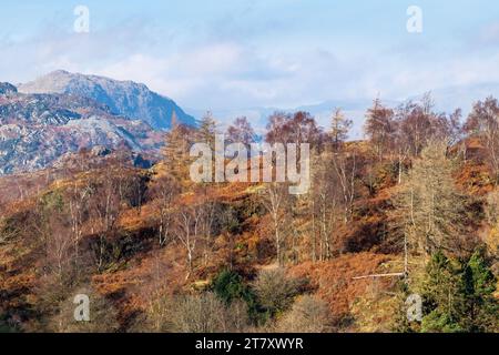 Die Langdale Pikes oberhalb von Tom Heights aus Sicht von Tarn Hows, Lake District National Park, UNESCO-Weltkulturerbe, Cumbria, England, Großbritannien Stockfoto