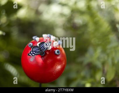 Fliegende Schmetterlinge Tropisches Luxusparadies Stockfoto