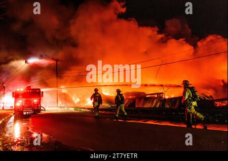 Feuerwehrmänner im Kampf gegen eine spektakuläre Flamme auf dem RK Miles Holzlager in Montpelier, VT, New England, USA. Stockfoto