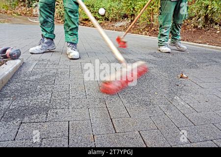 Garten-Landschaftsbau ein Garten- und Landschaftsbaubetrieb hat eine Fläche für den Bau einer Zufahrt fertiggestellt und verfugt die Pflastersteine. *** Garten Landschaftsgestaltung Ein Garten- und Landschaftsbauunternehmen hat einen Bereich für den Bau einer Auffahrt fertiggestellt und verfugt die Pflastersteine Credit: Imago/Alamy Live News Stockfoto