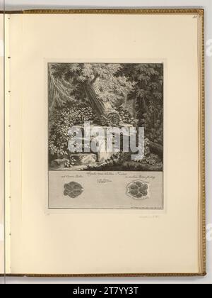 Johann Elias Ridinger (Ausführende r Künstler in) die Wildkatze. Ätzen 1740 , 1740 Stockfoto