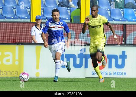 Eder Citadin Martins von der UC Sampdoria folgt Geoffrey Kondogbia vom FC Inter Mailand während des italienischen Meisterschaftsspiels Serie A zwischen der UC Sampdoria und dem FC Inter Mailand im Luigi Ferraris Stadion am 4. Oktober 2015 in Genua. Foto Massimo Cebrelli / DPPI Stockfoto