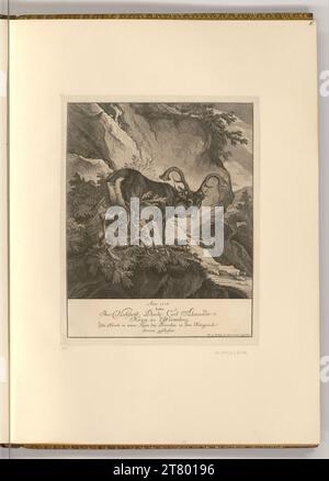 Johann Elias Ridinger (Ausführende r Künstler in) Hirsch. Ätzen 1768 , 1768 Stockfoto