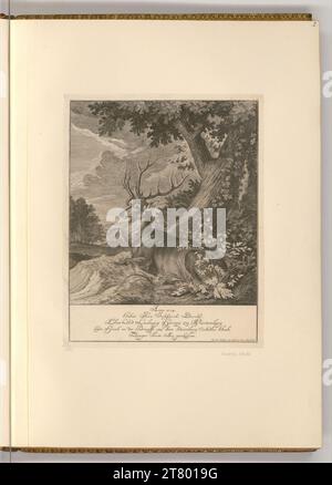 Johann Elias Ridinger (Ausführende r Künstler in) Hirsch. Ätzen 1768 , 1768 Stockfoto