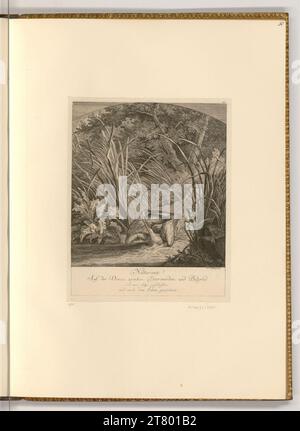 Johann Elias Ridinger (Ausführende r Künstler in) Pelican. Ätzen 1768 , 1768 Stockfoto