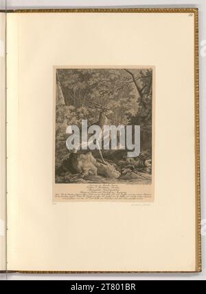 Johann Elias Ridinger (Ausführende r Künstler in) Hirsch. Ätzen 1754 , 1754 Stockfoto