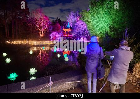 Hamburg, Deutschland. November 2023. Die ersten Besucher stehen vor Lichtinstallationen im „Weihnachtsgarten“ Loki-Schmidt-Garten. Der Halbmond ist im Hintergrund zu sehen. In diesem Winter verwandelt sich der Loki Schmidt Garten erstmals in eine leuchtende Landschaft mit Lichtshows. Quelle: Georg Wendt/dpa/Alamy Live News Stockfoto