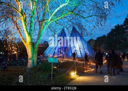 Hamburg, Deutschland. November 2023. Die ersten Besucher gehen an Lichtinstallationen im „Weihnachtsgarten“ Loki-Schmidt-Garten vorbei. Der Halbmond ist im Hintergrund zu sehen. In diesem Winter verwandelt sich der Loki Schmidt Garten erstmals in eine leuchtende Landschaft mit Lichtshows. Quelle: Georg Wendt/dpa/Alamy Live News Stockfoto