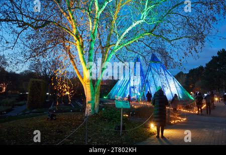 Hamburg, Deutschland. November 2023. Die ersten Besucher gehen an Lichtinstallationen im „Weihnachtsgarten“ im Loki-Schmidt-Garten vorbei. Der Halbmond ist im Hintergrund zu sehen. In diesem Winter verwandelt sich der Loki Schmidt Garten erstmals in eine leuchtende Landschaft mit Lichtshows. Quelle: Georg Wendt/dpa/Alamy Live News Stockfoto