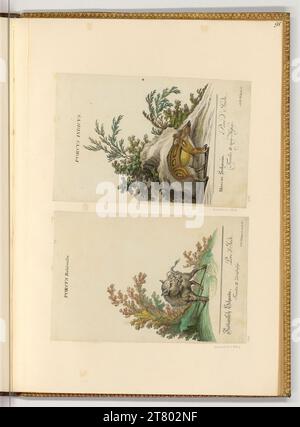 Johann Elias Ridinger (ausführende r Künstler in) Wildschweine. Ätzen, farbig 1718-1767 , 1718/1767 Stockfoto