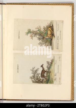 Johann Elias Ridinger (ausführende r Künstler in) Muschus und Hirsch. Ätzen, farbig 1718-1767 , 1718/1767 Stockfoto