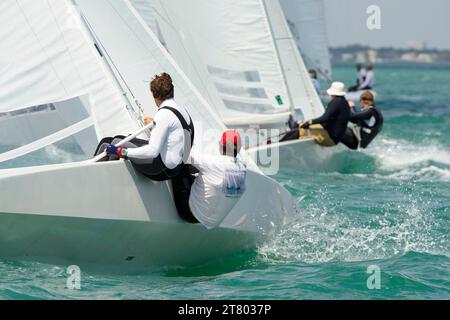 SEGELN - BACARDI CUP 2011 - MIAMI (USA) - FOTO : NATHALIE COLLOUD / DPPI - STAR ACTION Stockfoto