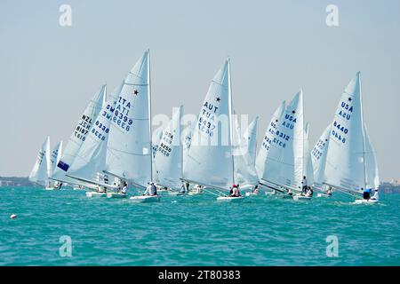 SEGELN - BACARDI CUP 2011 - MIAMI (USA) - FOTO : NATHALIE COLLOUD / DPPI - STAR FLEET Stockfoto