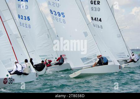 SEGELN - BACARDI CUP 2011 - MIAMI (USA) - FOTO : NATHALIE COLLOUD / DPPI - STAR FLEET Stockfoto