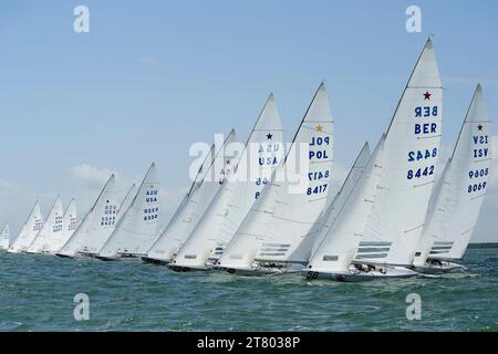 SEGELN - BACARDI CUP 2011 - MIAMI (USA) - FOTO : NATHALIE COLLOUD / DPPI - STAR FLEET Stockfoto