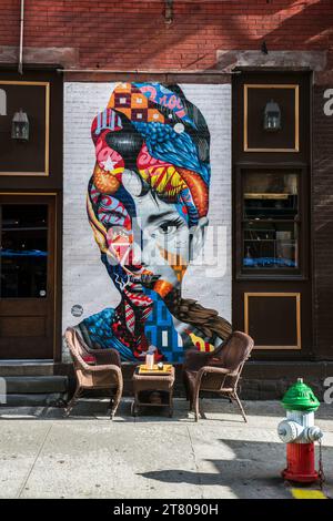 New York, Usa. November 2023. Fresque de l'artiste Tristan Eaton à New York, November 2023. Foto: Denis Prezat/ABACAPRESS.COM Credit: Abaca Press/Alamy Live News Stockfoto