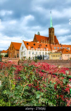 Die Stiftskirche des Heiligen Kreuzes und St. Bartholomäus. Dominsel, Ostrow Tumkski, Breslau, Polen Stockfoto