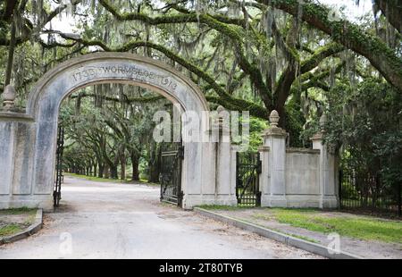 Eingangstor zur Wormsloe Plantation - Savannah, Georgia Stockfoto