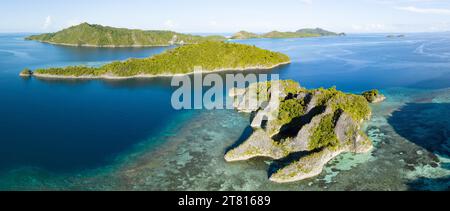 Die unglaublich malerischen Inseln von Penemu sind von wunderschönen Korallenriffen umgeben. Diese Inseln in Raja Ampat unterstützen eine große Vielfalt an Biodiversität. Stockfoto
